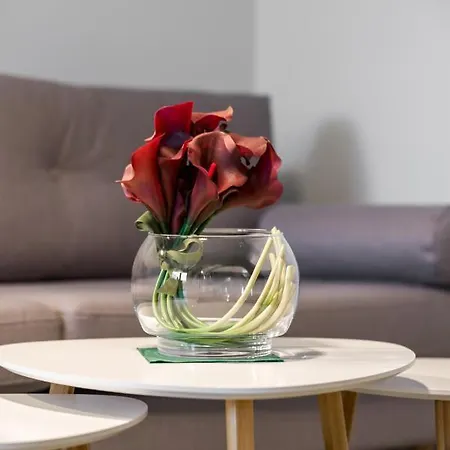 Marcelin Estate By Renters